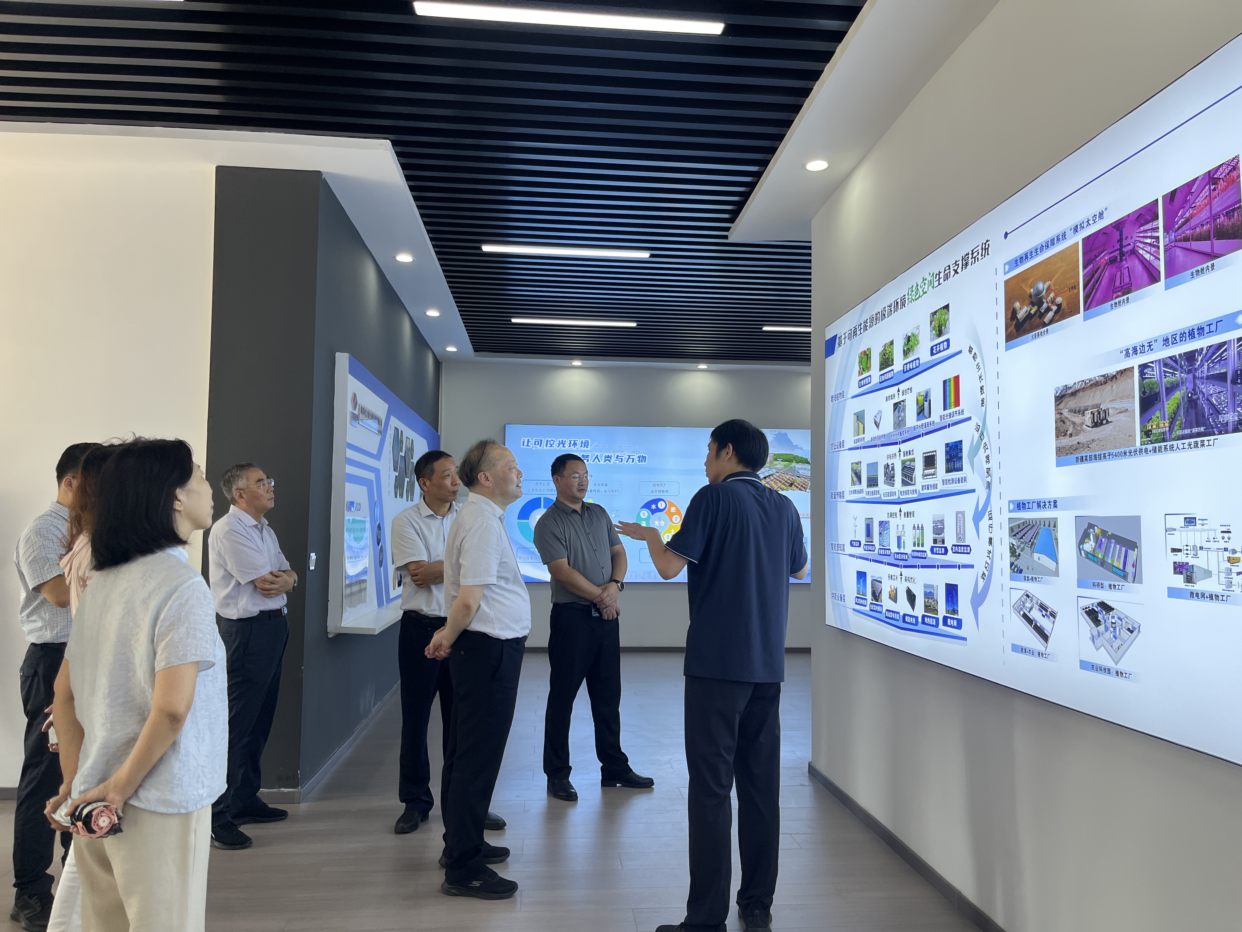 鎮江市人大常委會赴高資項目調研“農光互補”創新實踐